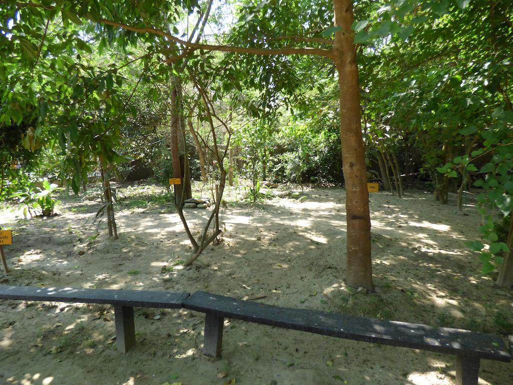 Chitwan Gaida Lodge Sauraha Eksteriør billede