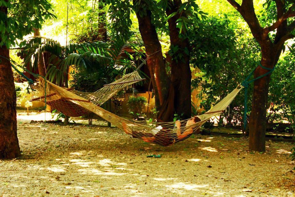 Chitwan Gaida Lodge Sauraha Eksteriør billede