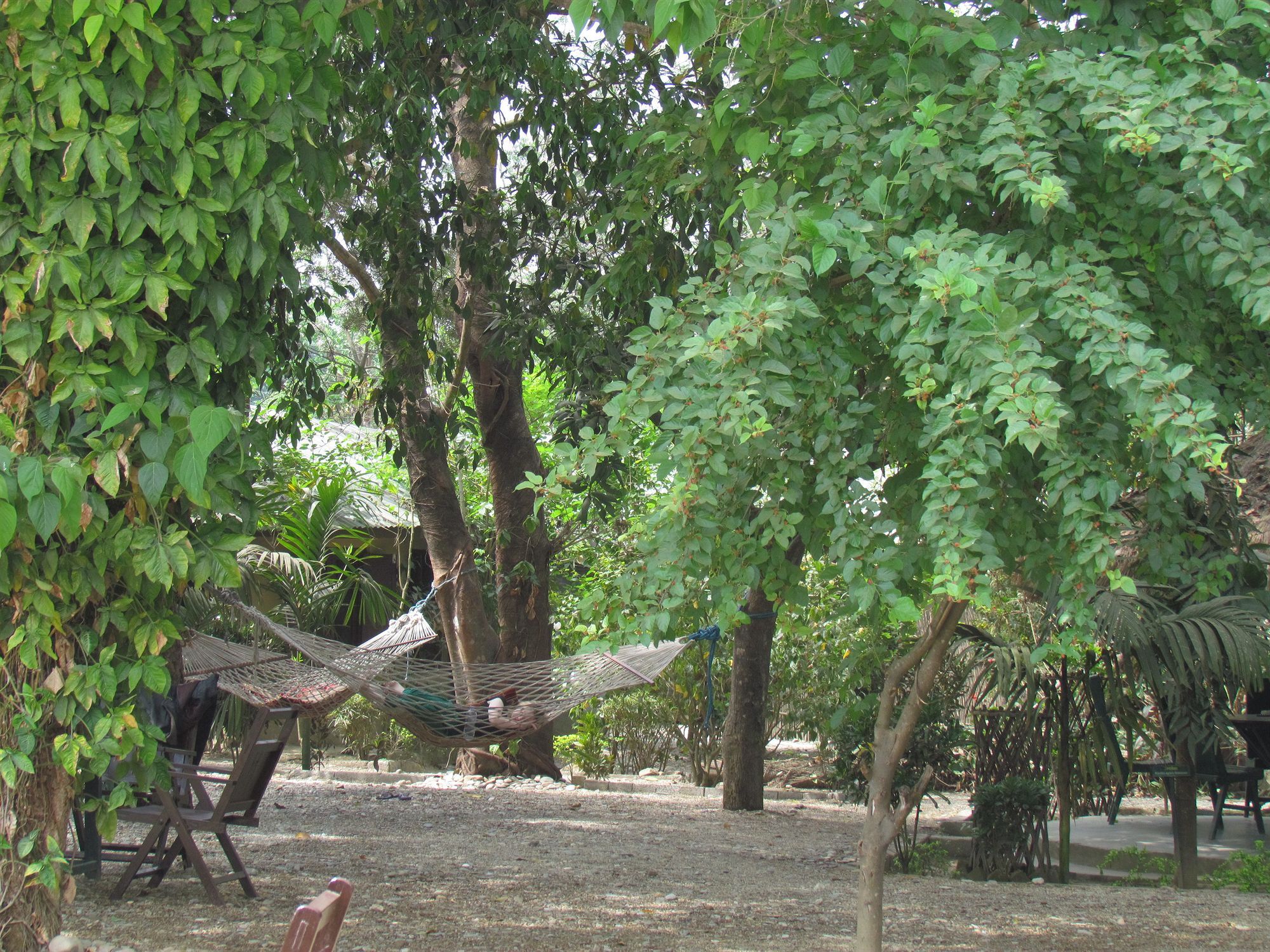 Chitwan Gaida Lodge Sauraha Eksteriør billede