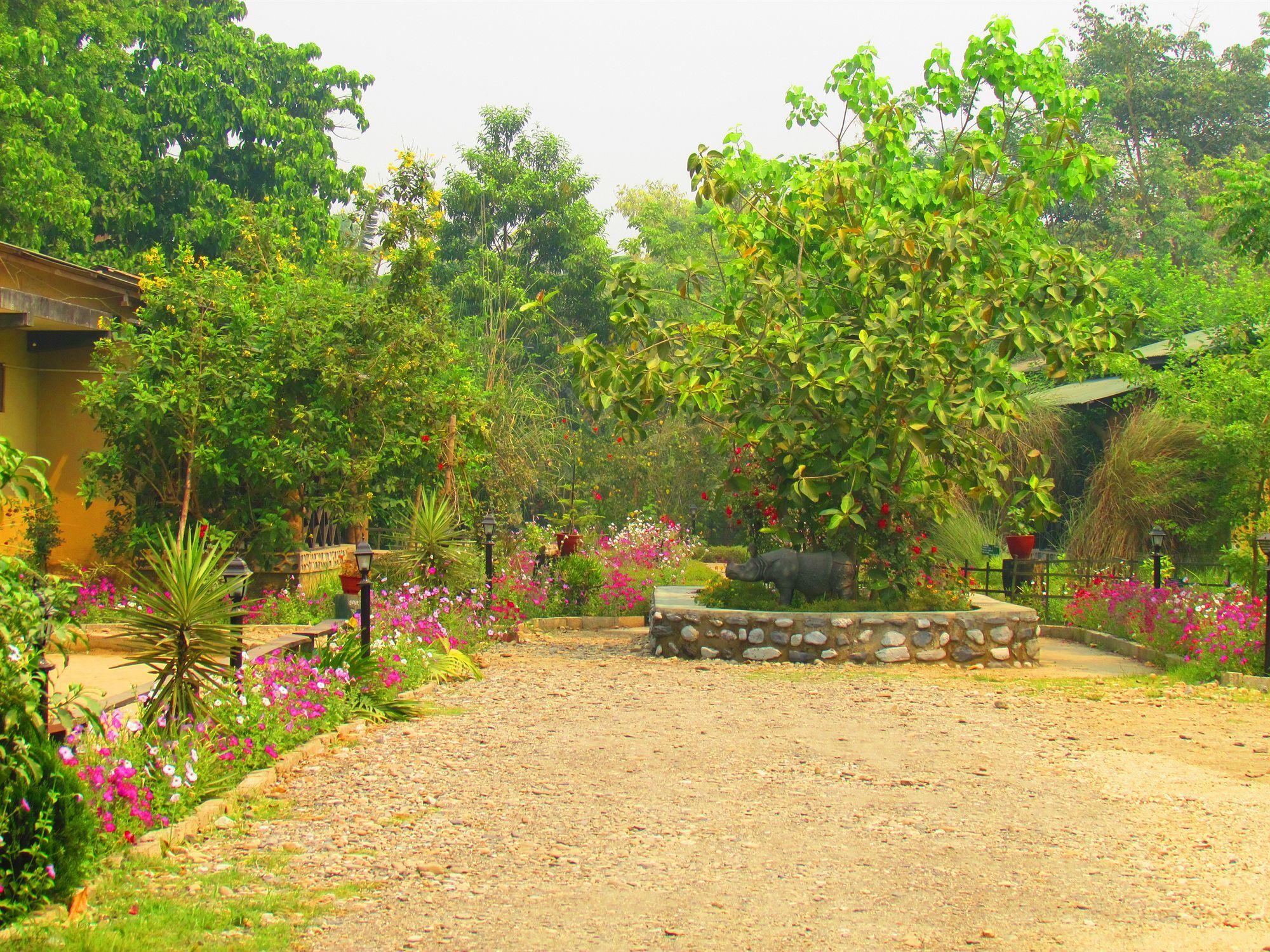 Chitwan Gaida Lodge Sauraha Eksteriør billede